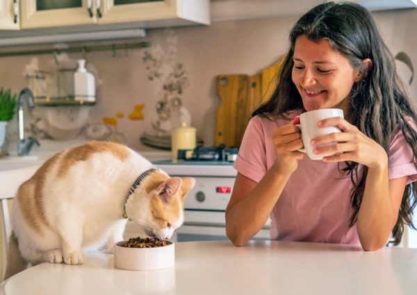 Happy Cat Feedi9ng