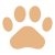 paw yellow